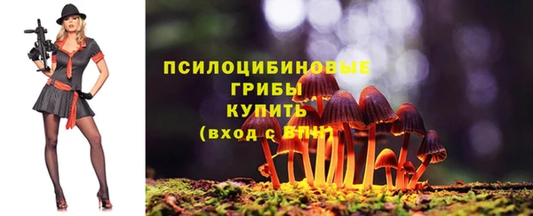 синтетический гашиш Арсеньев