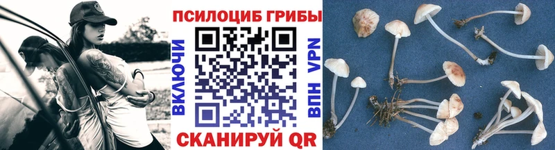 Галлюциногенные грибы прущие грибы Валдай